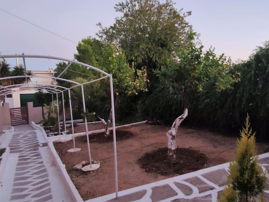 Penthouse Studio Next To The Sea سالاميس المظهر الخارجي الصورة