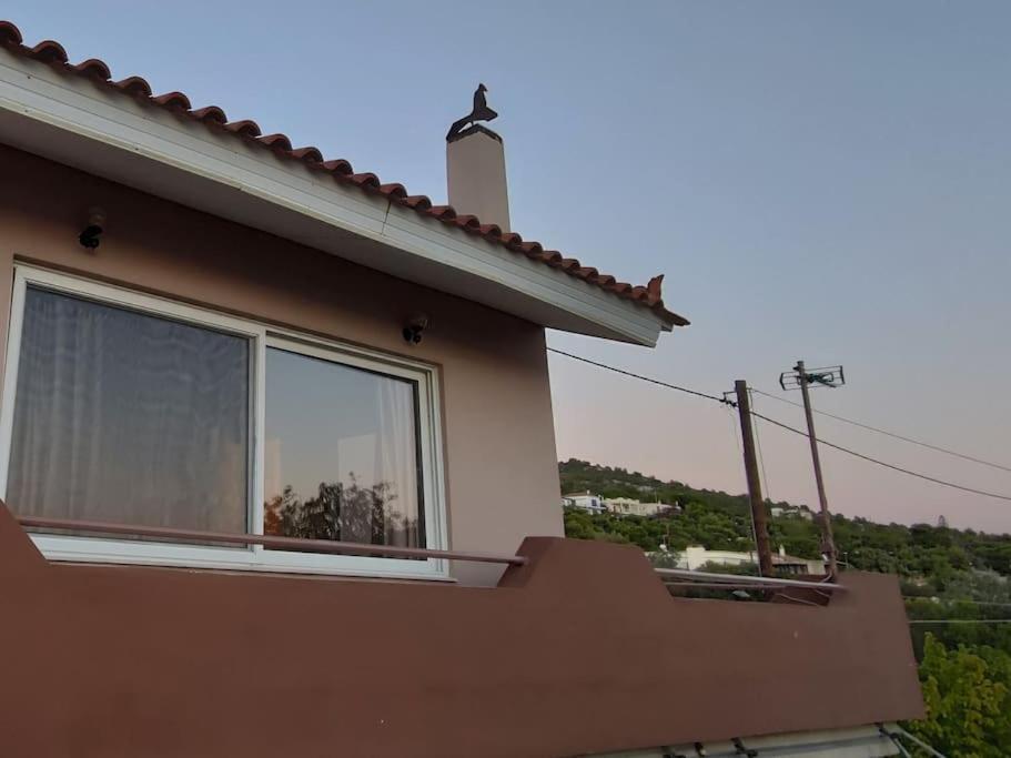 Penthouse Studio Next To The Sea سالاميس المظهر الخارجي الصورة